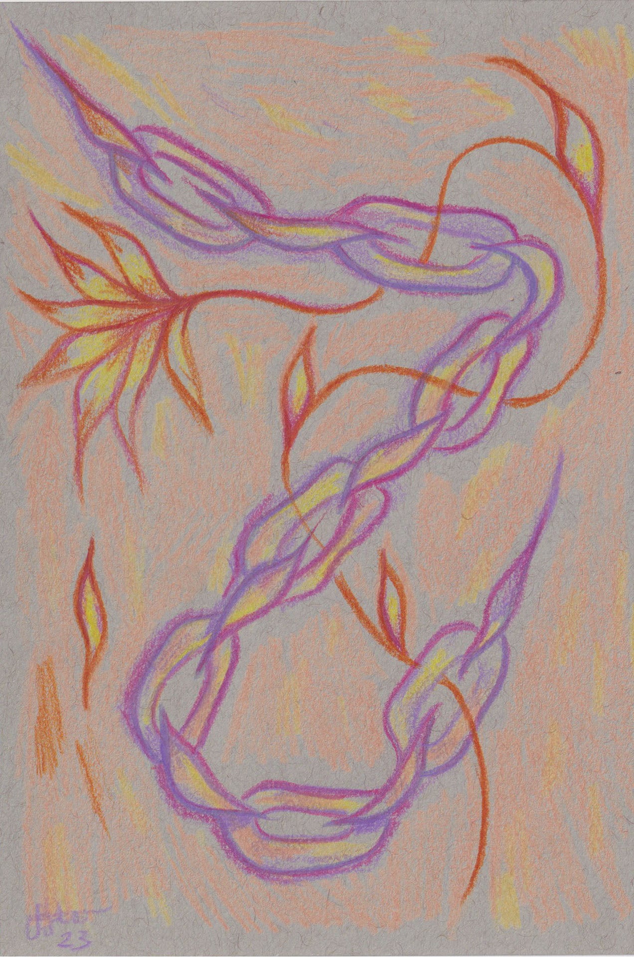 Irene Feleo: This Feels Harder Than It Should Be