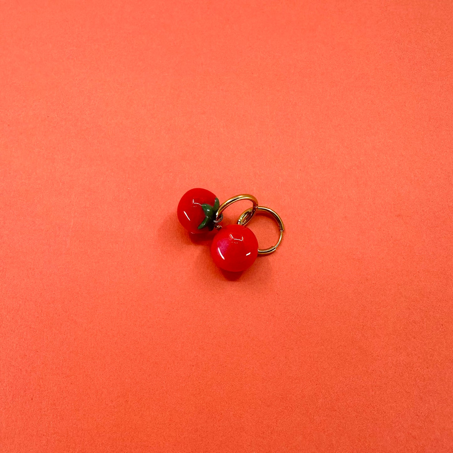 Marina Barro: Earrings