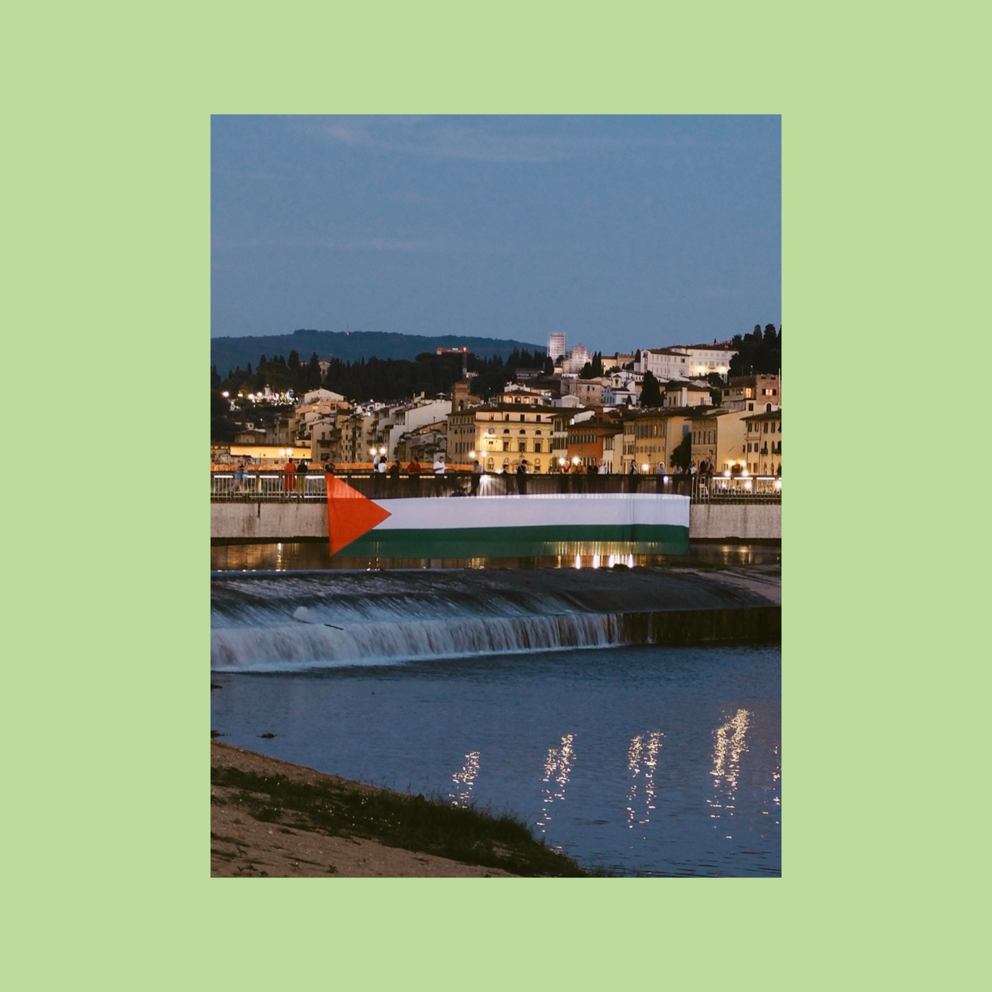 Baladfilm: Palestinian Flag and Protest Postcard