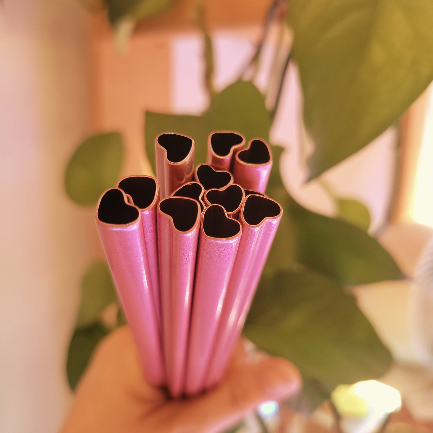 FHTS: Reusable Straws