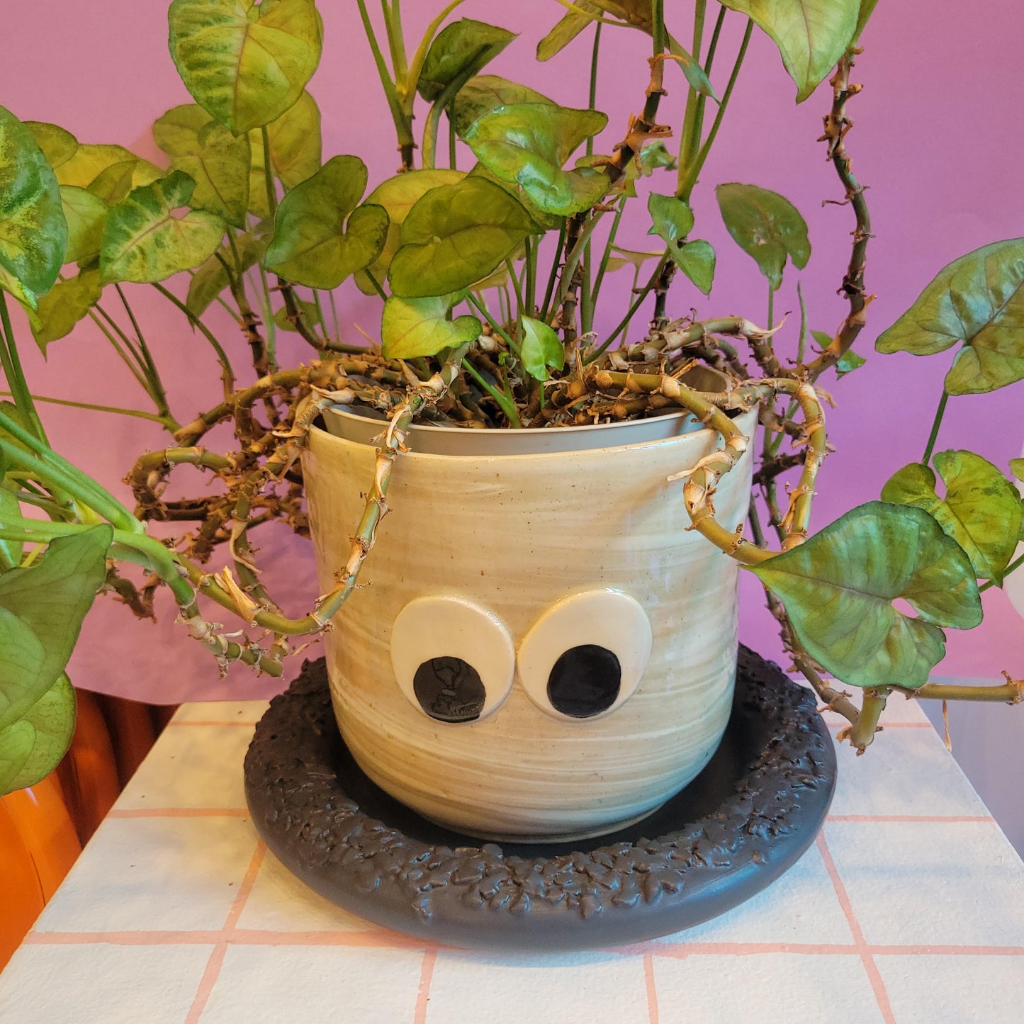 Gary AF: Googly Eye Planter Set
