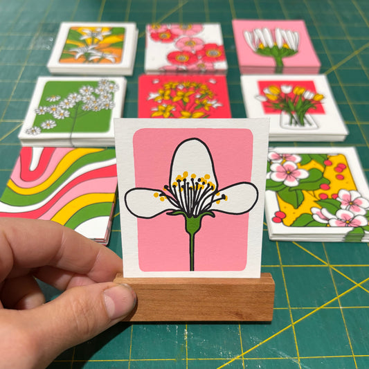 Kati Lacker: Blind Boxes