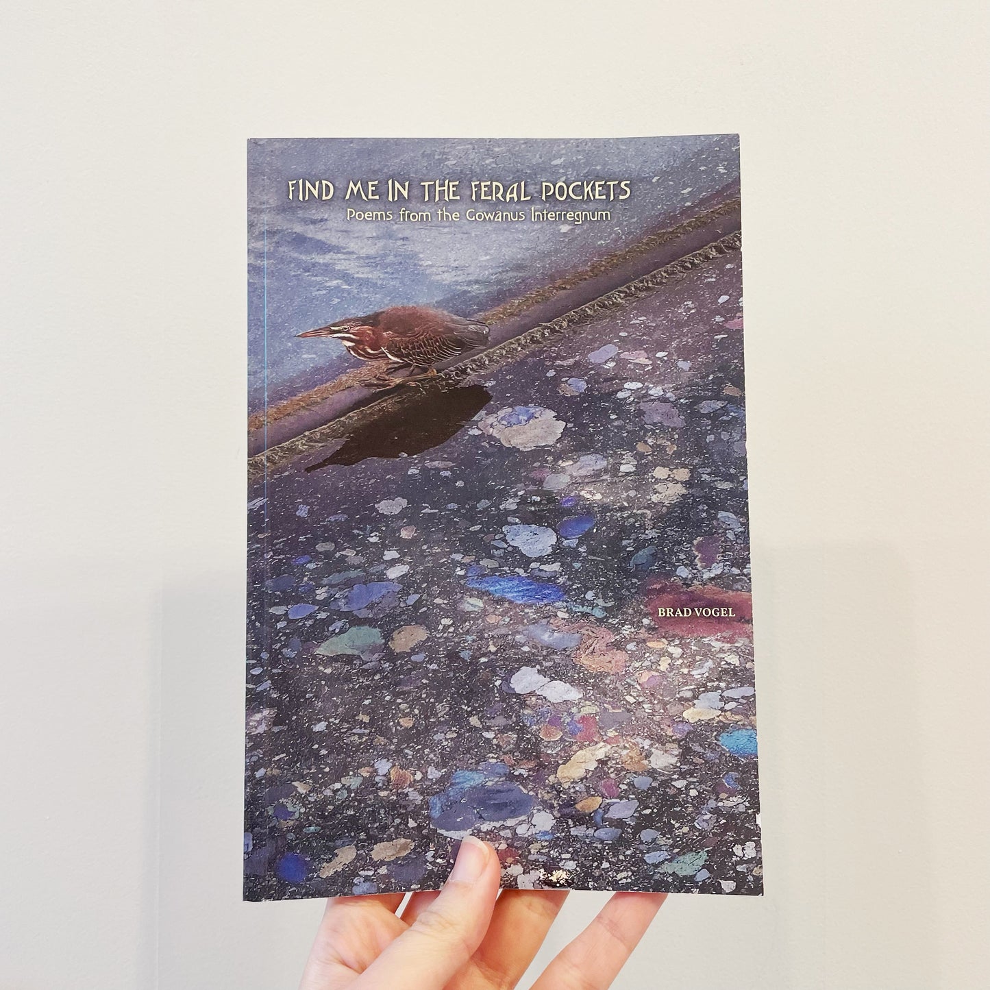 Brad Vogel: Find Me in the Feral Pockets Book