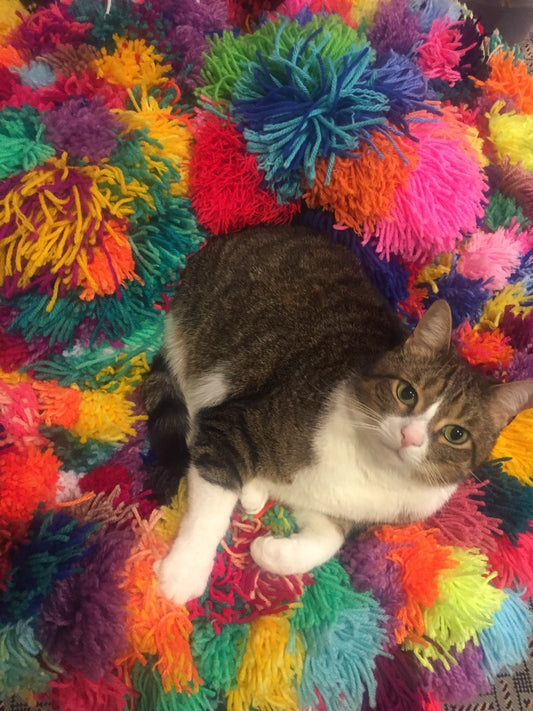 Karyn Lao: Meatball's Favorite Pompoms