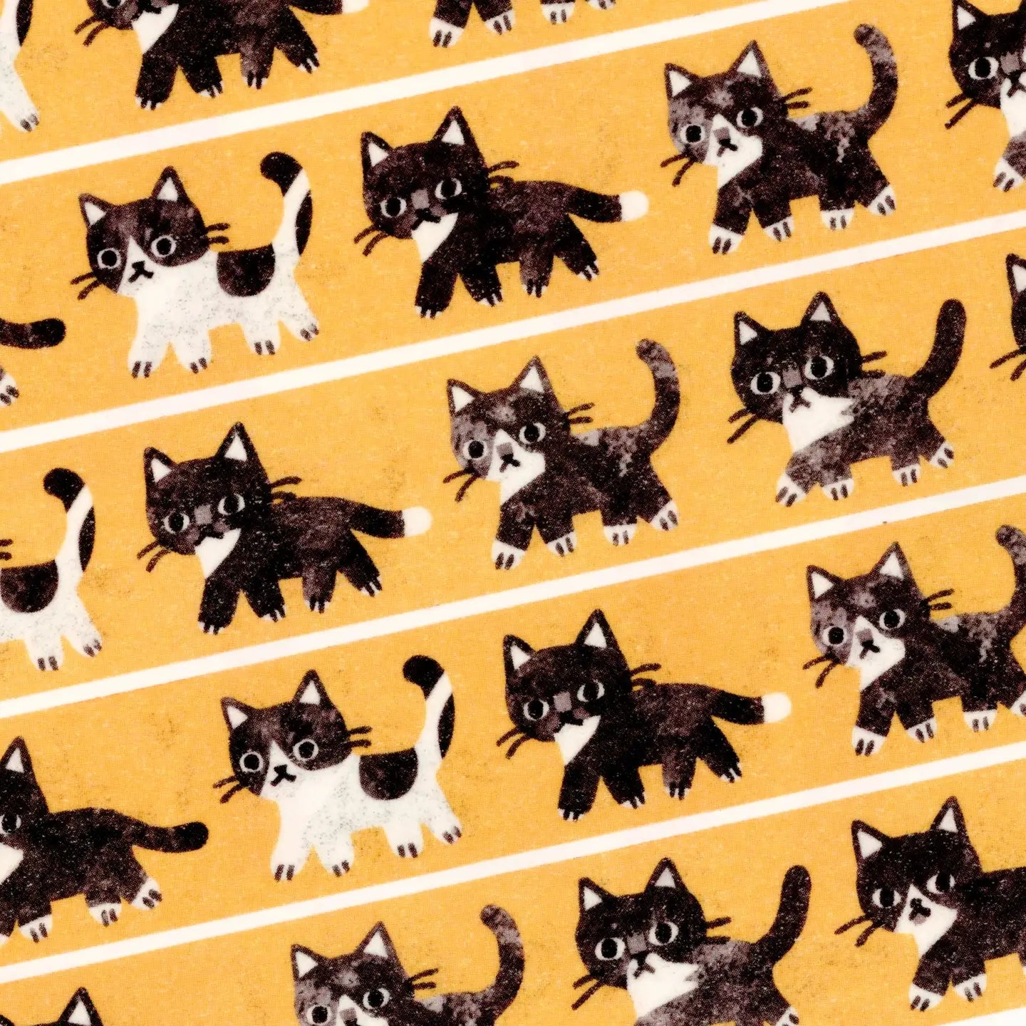 Megan Wang: Washi Tape
