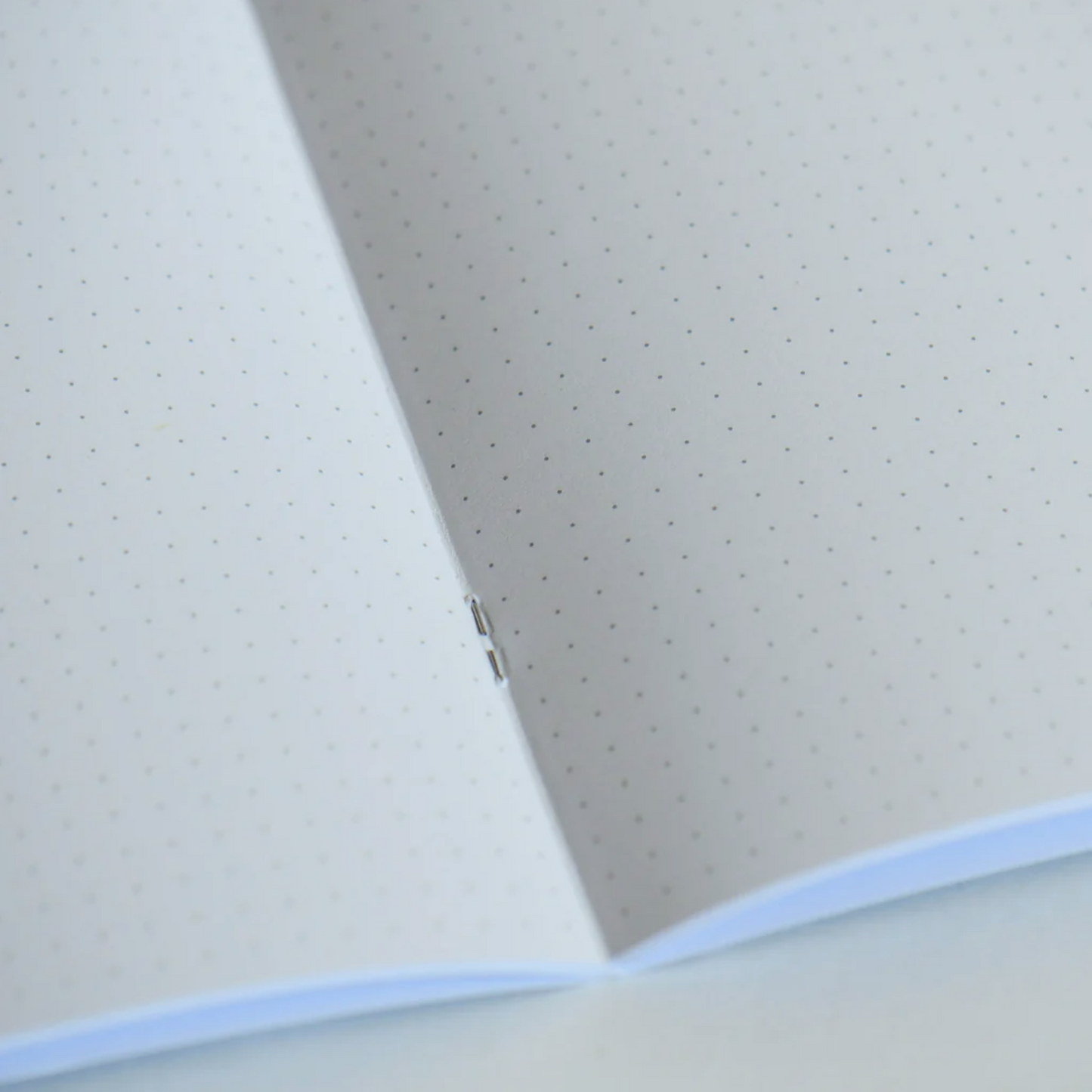 Shattered Earth: Squiggle Cat Notebook
