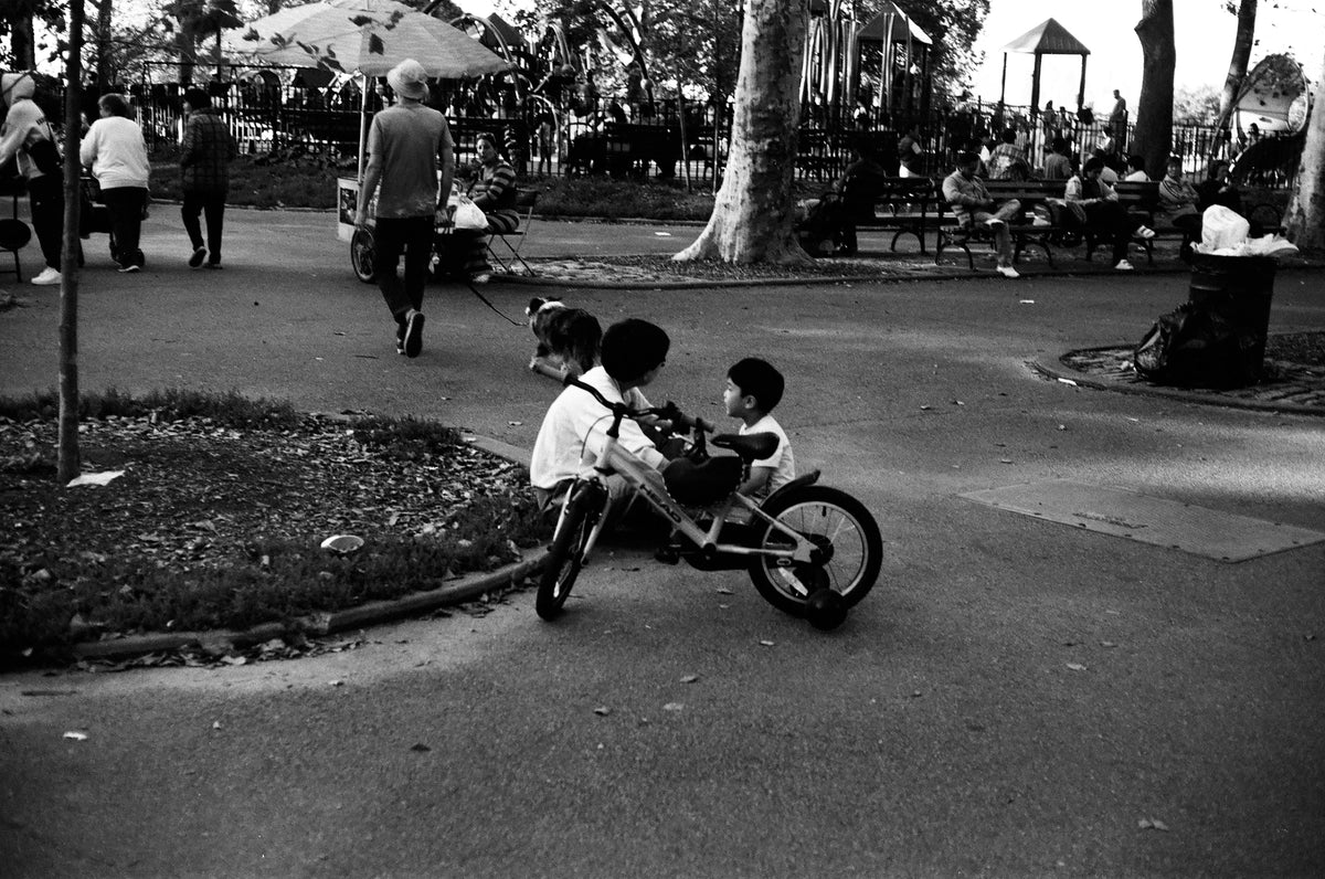 August Cao: Sunset Park