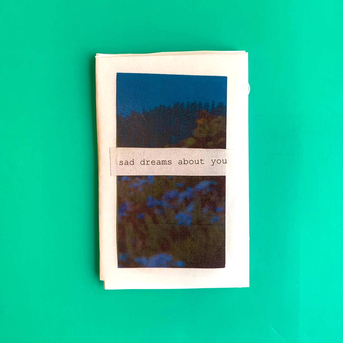 Sabrina Sims: Zines