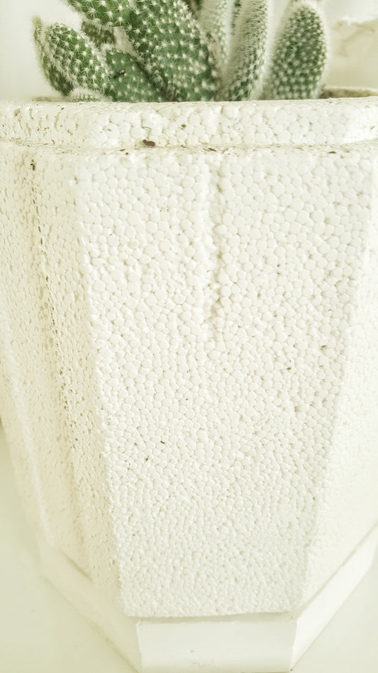 Come Out to the Coast: Styro Planter