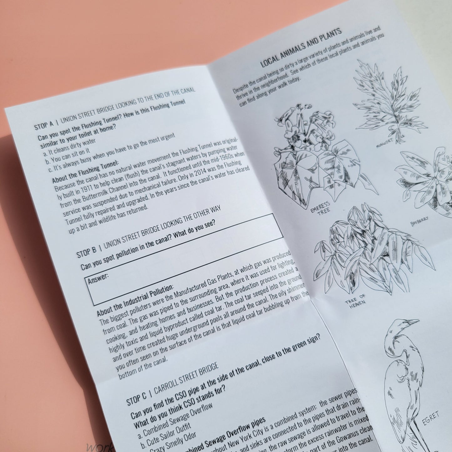 Gowanus Souvenir: Sludgie the Whale Scavenger Hunt