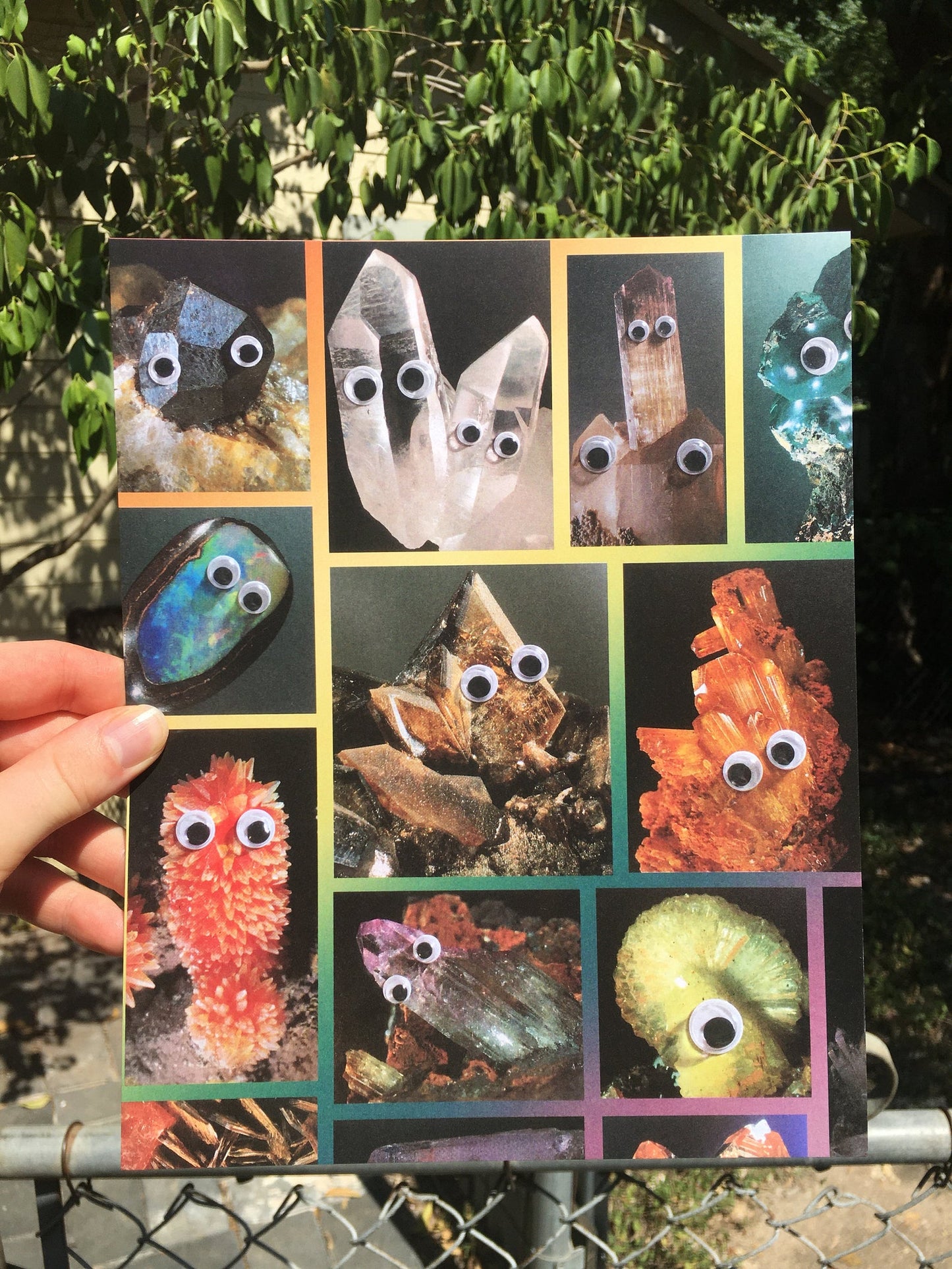 Hills & Holler: Prints