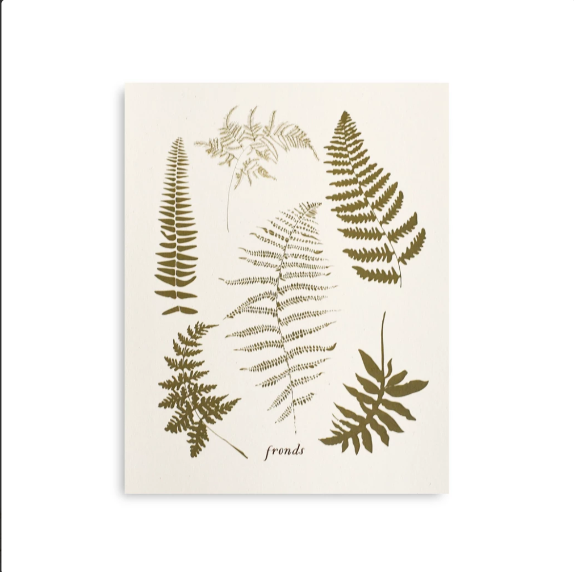 June & December: Prints