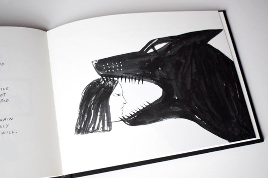 Kaye Blegvad: Dog Years Book