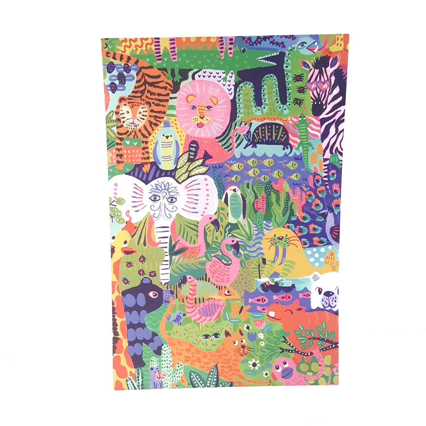 Kim Sielbeck: Postcard Set