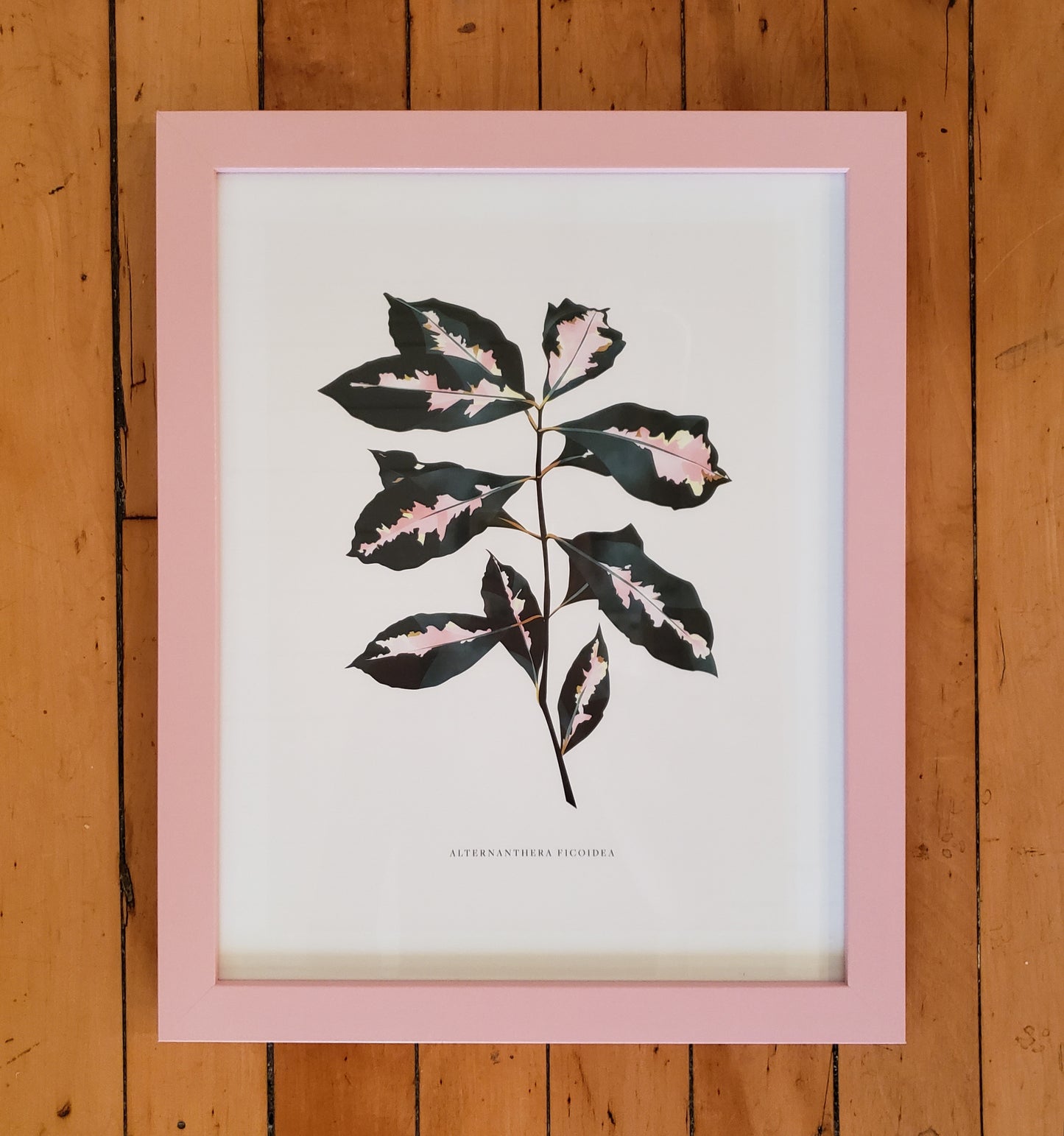 Linda Gao: Plant Prints