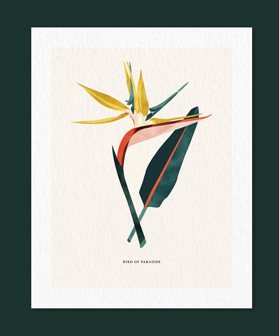 Linda Gao: Plant Prints