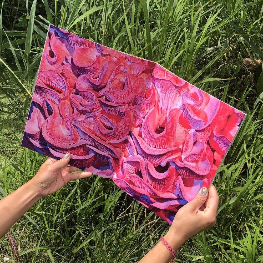 Phyllis Ma: Mushroom & Friends Zines