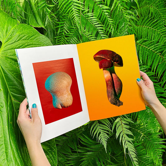 Phyllis Ma: Mushroom & Friends Zines