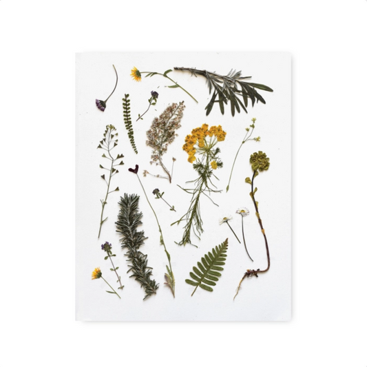 June & December: Prints