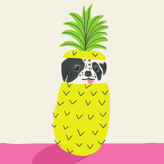 Kim Sielbeck: Ziggy Pineapple Print