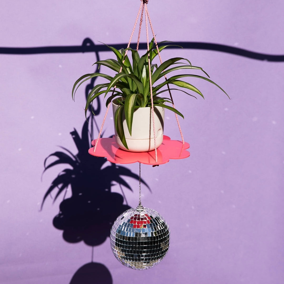Tiny Deer Studio: Daisy Disco Plant Hanger