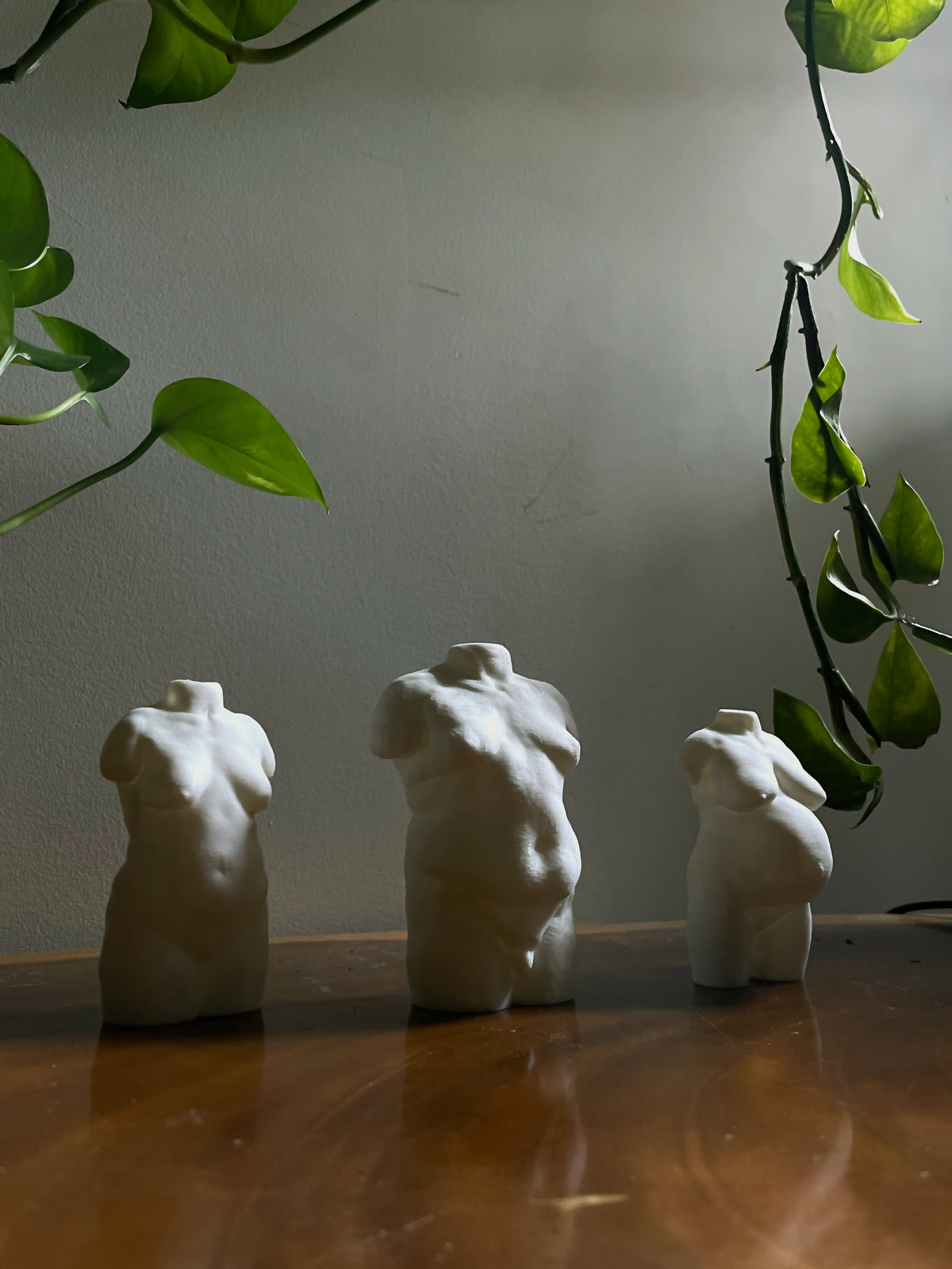 Jill Miyabara: The Body Series