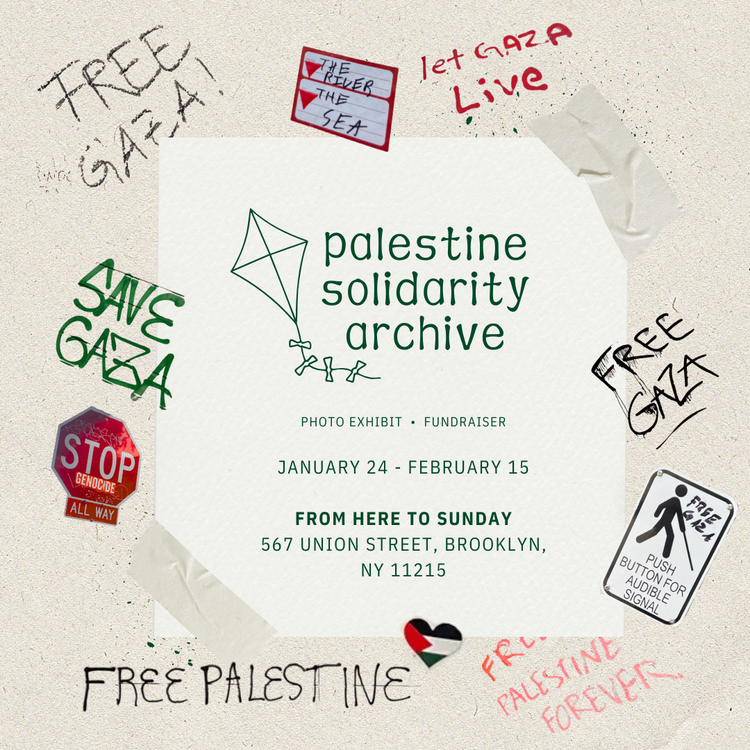 Palestine Solidarity Archive