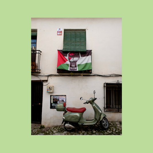 Baladfilm: Free Palestine Flag Postcard