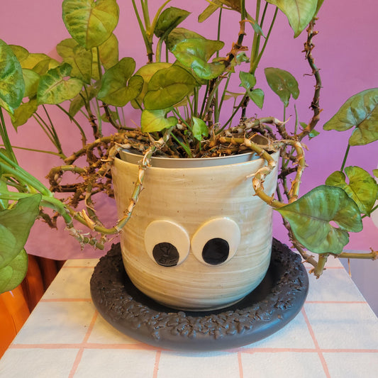 Gary AF: Googly Eye Planter Set