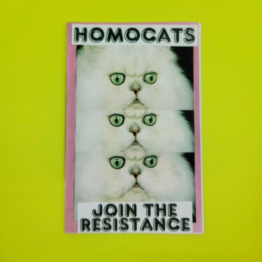 HOMOCATS: Zines