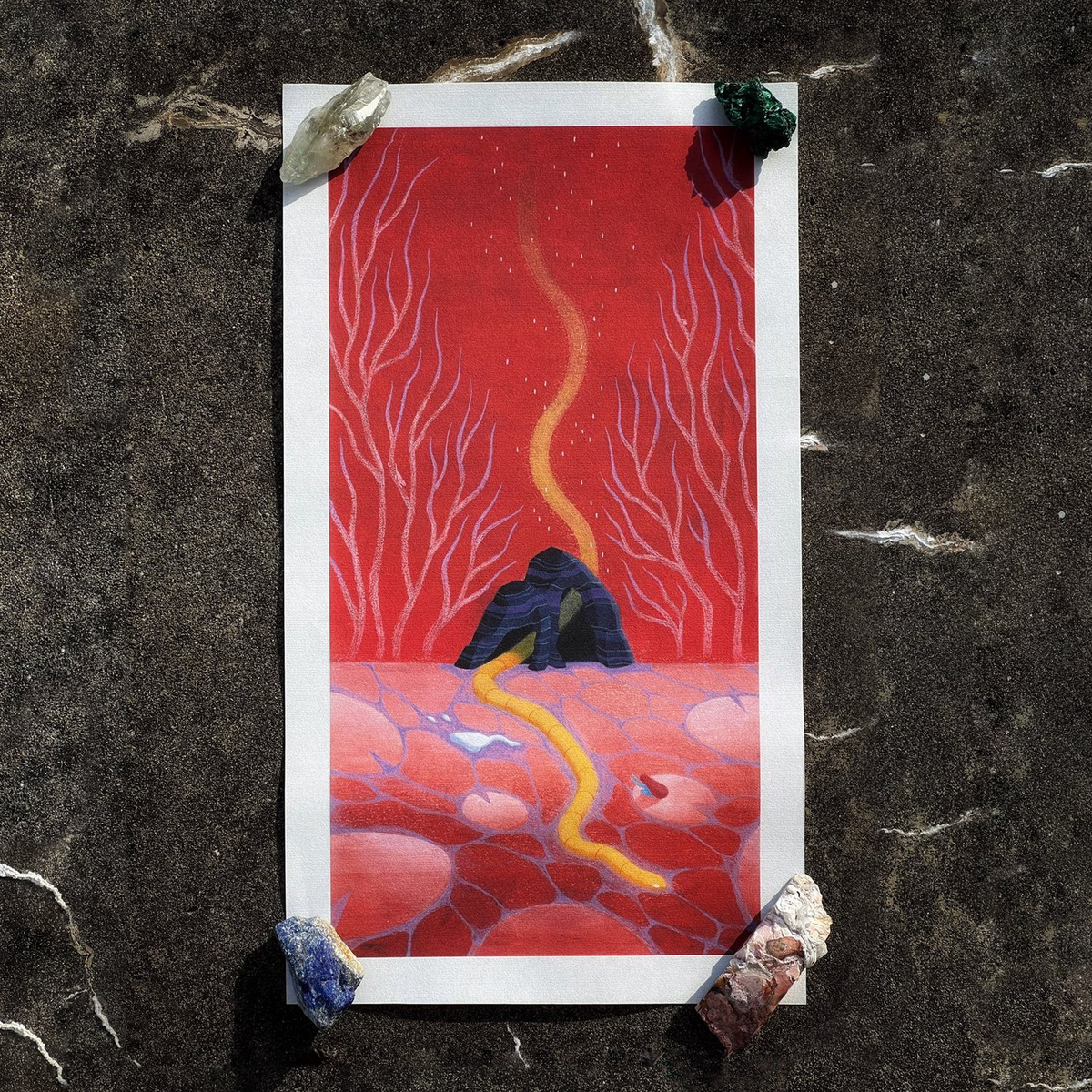 mosswater: Black Spring Prints