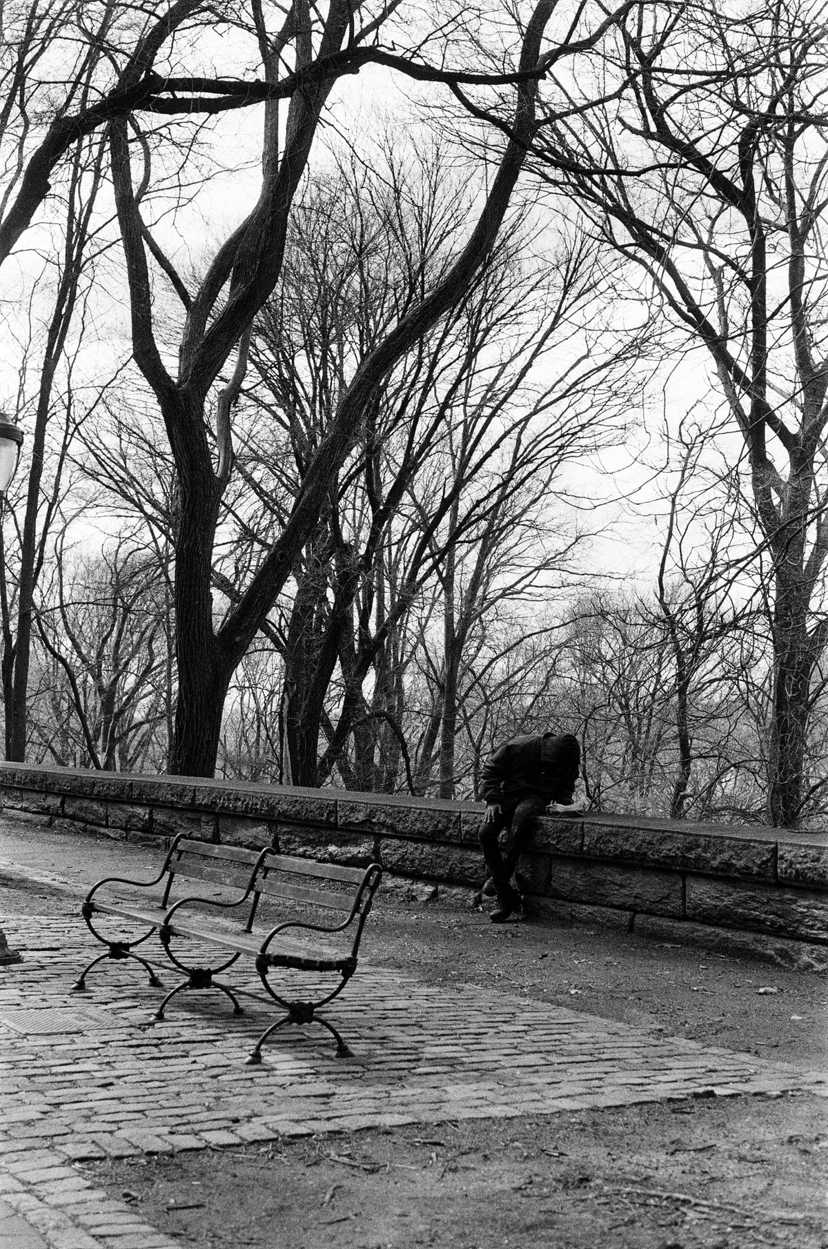August Cao: Riverside Park