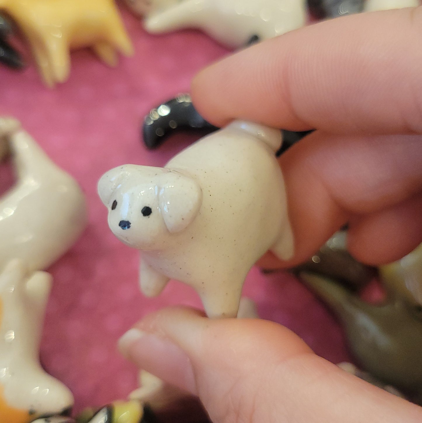 Starting Projects: Tiny Dogs