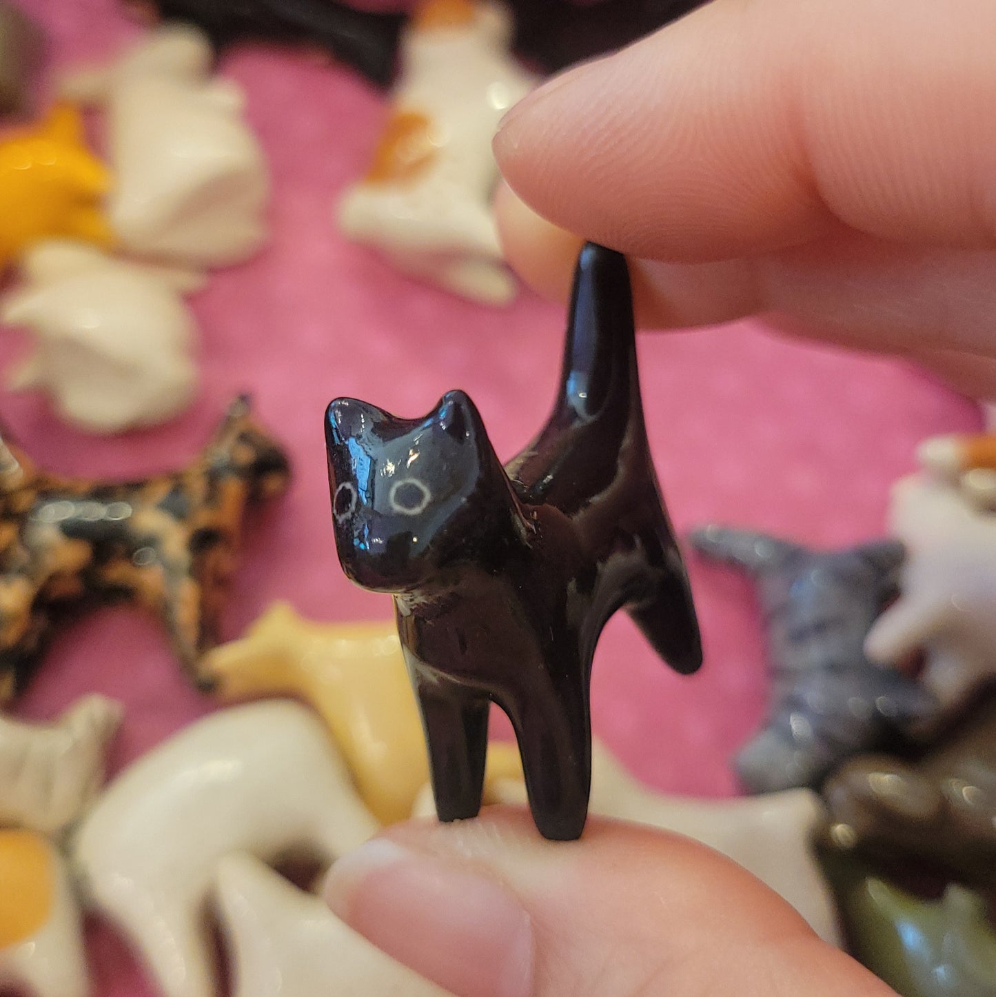Starting Projects: Tiny Cats