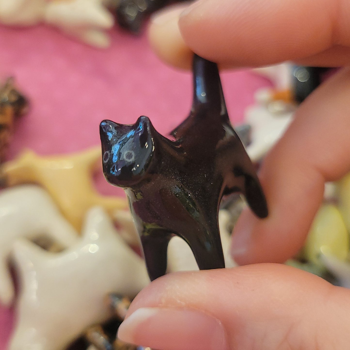Starting Projects: Tiny Cats