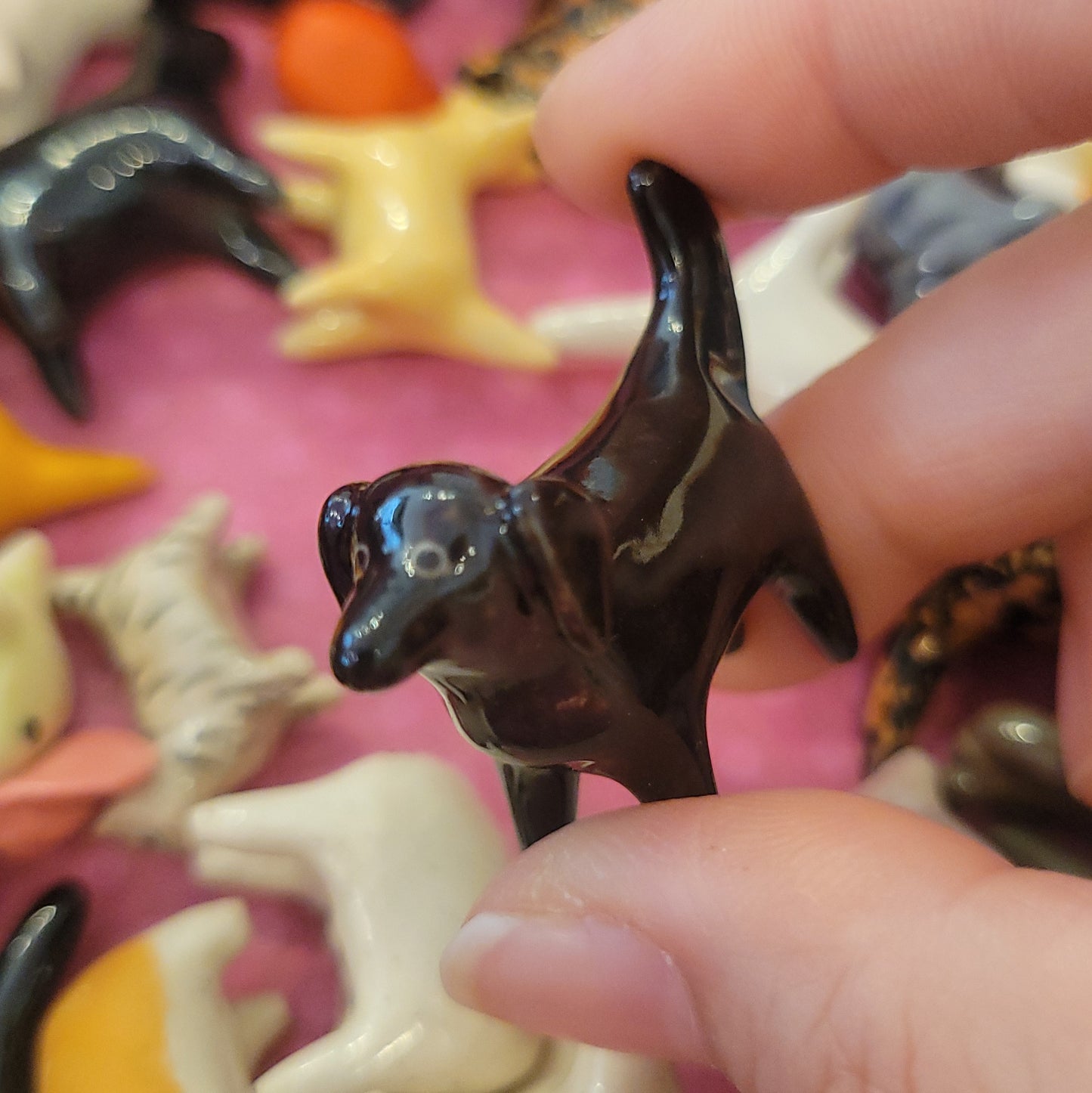 Starting Projects: Tiny Dogs