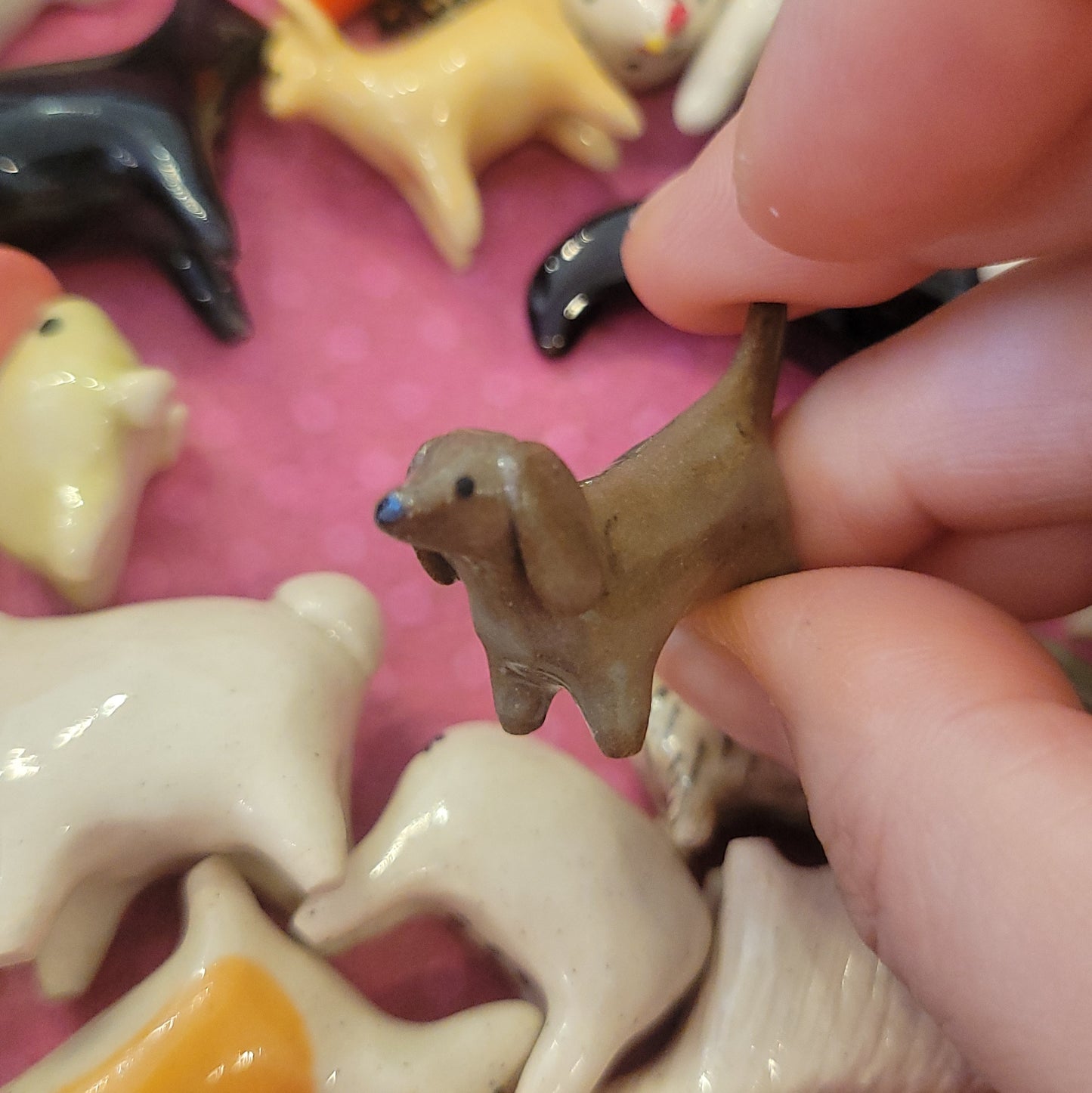 Starting Projects: Tiny Dogs