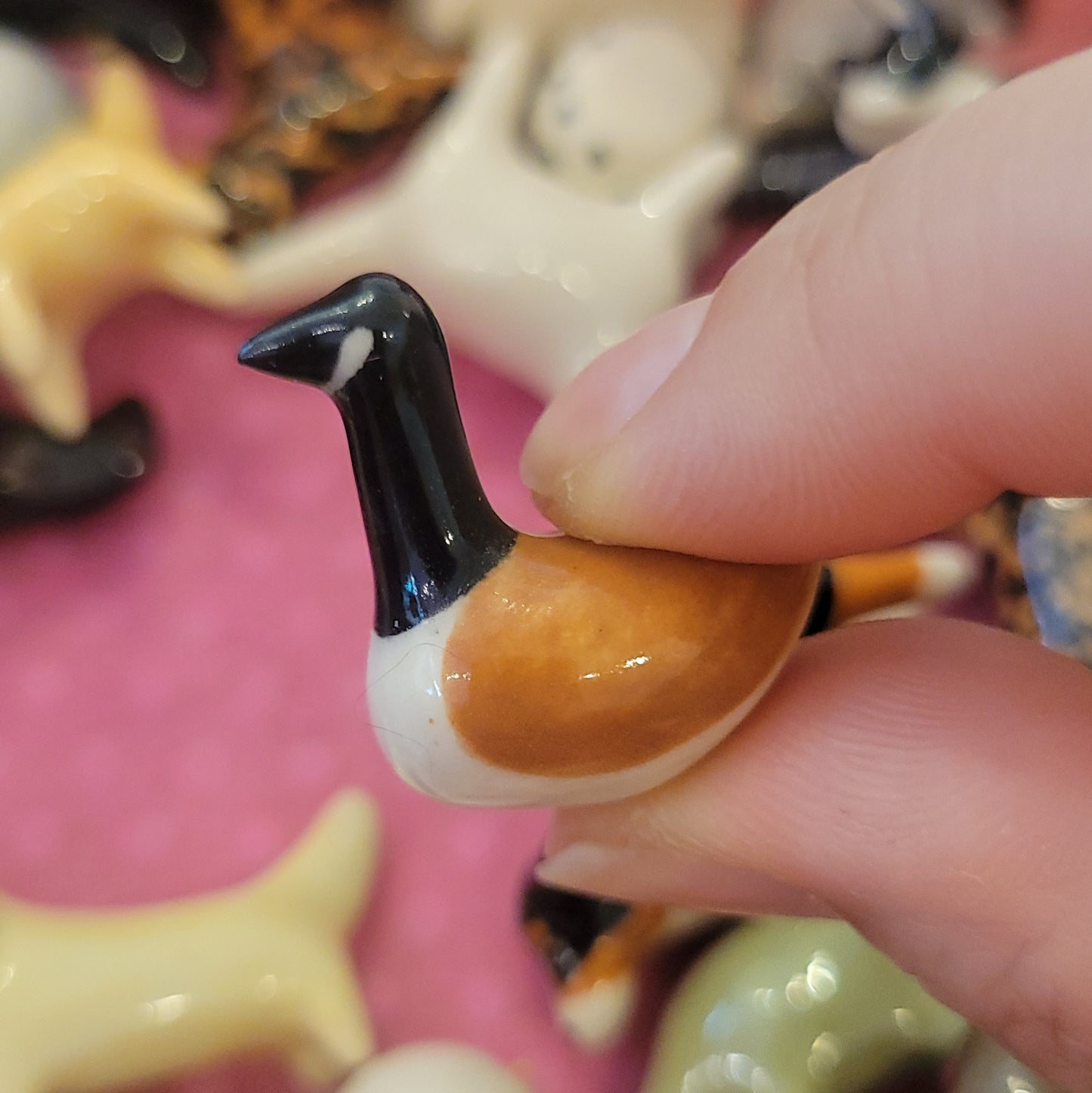 Starting Projects: Tiny Birds