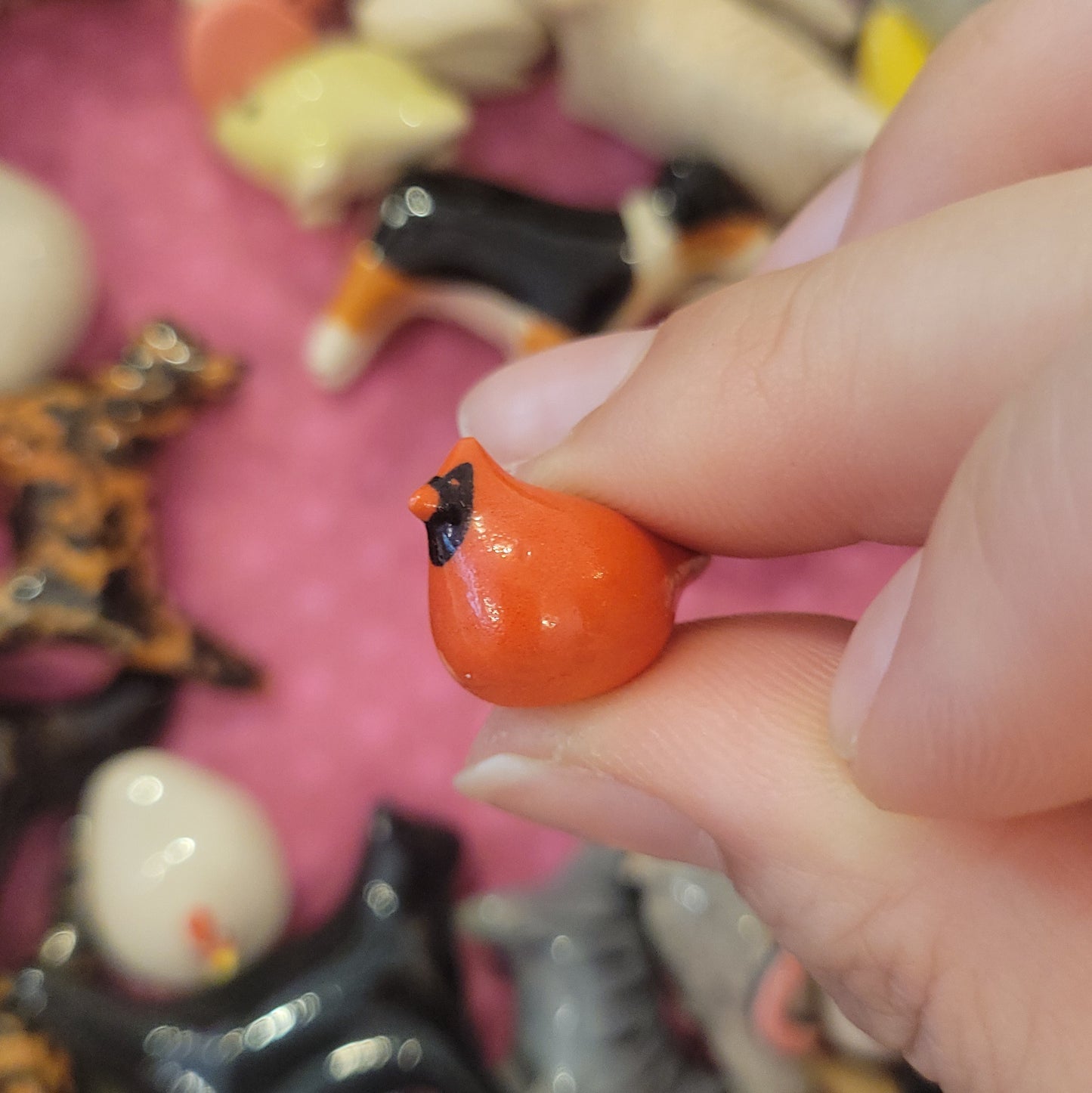 Starting Projects: Tiny Birds