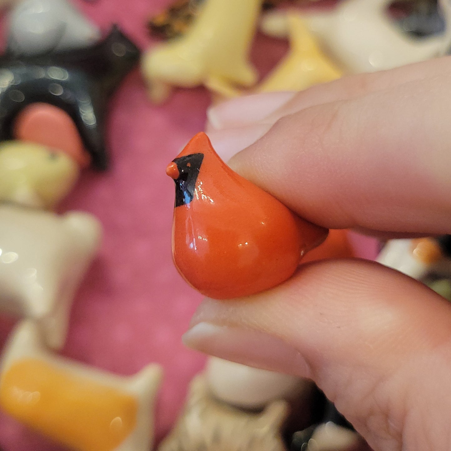 Starting Projects: Tiny Birds