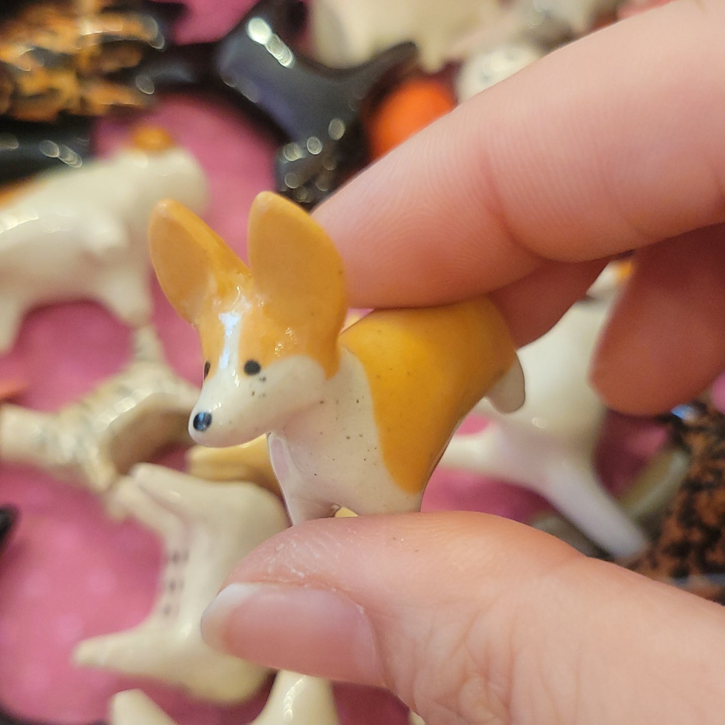 Starting Projects: Tiny Dogs