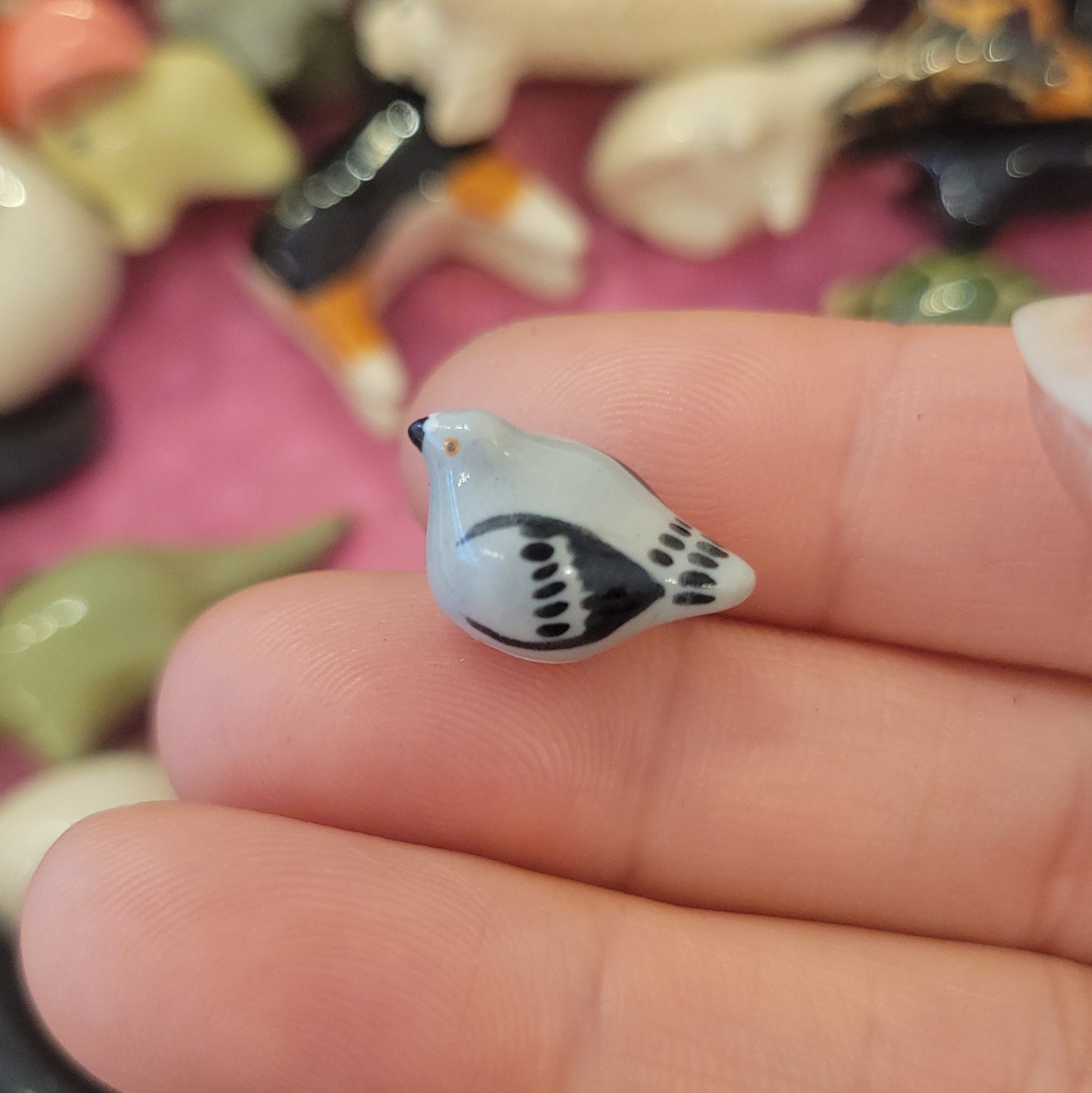Starting Projects: Tiny Birds
