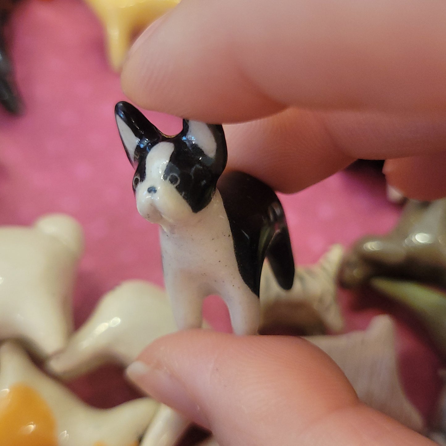 Starting Projects: Tiny Dogs