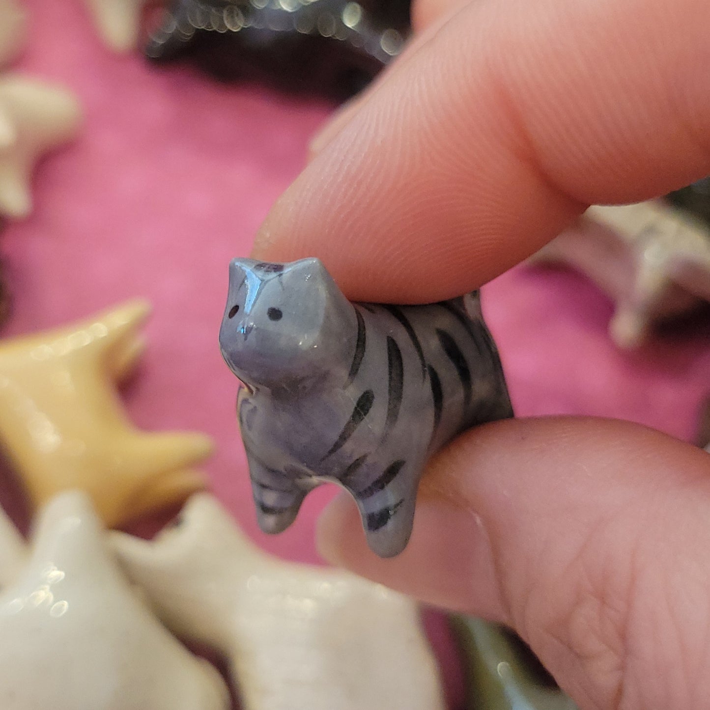 Starting Projects: Tiny Cats