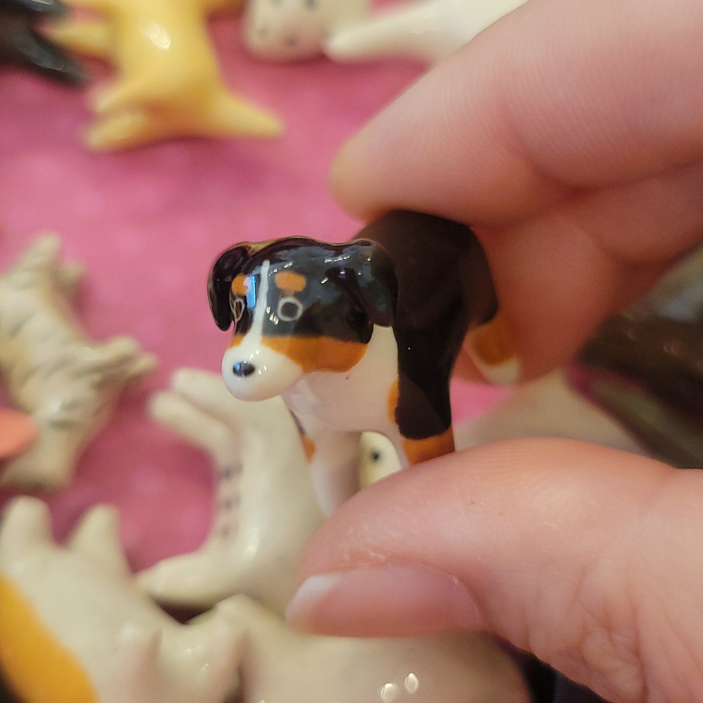 Starting Projects: Tiny Dogs