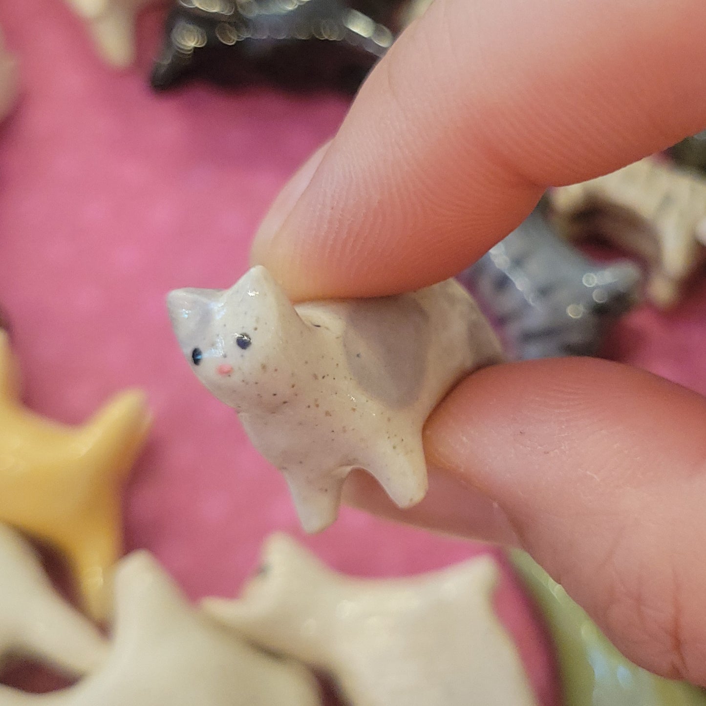 Starting Projects: Tiny Cats