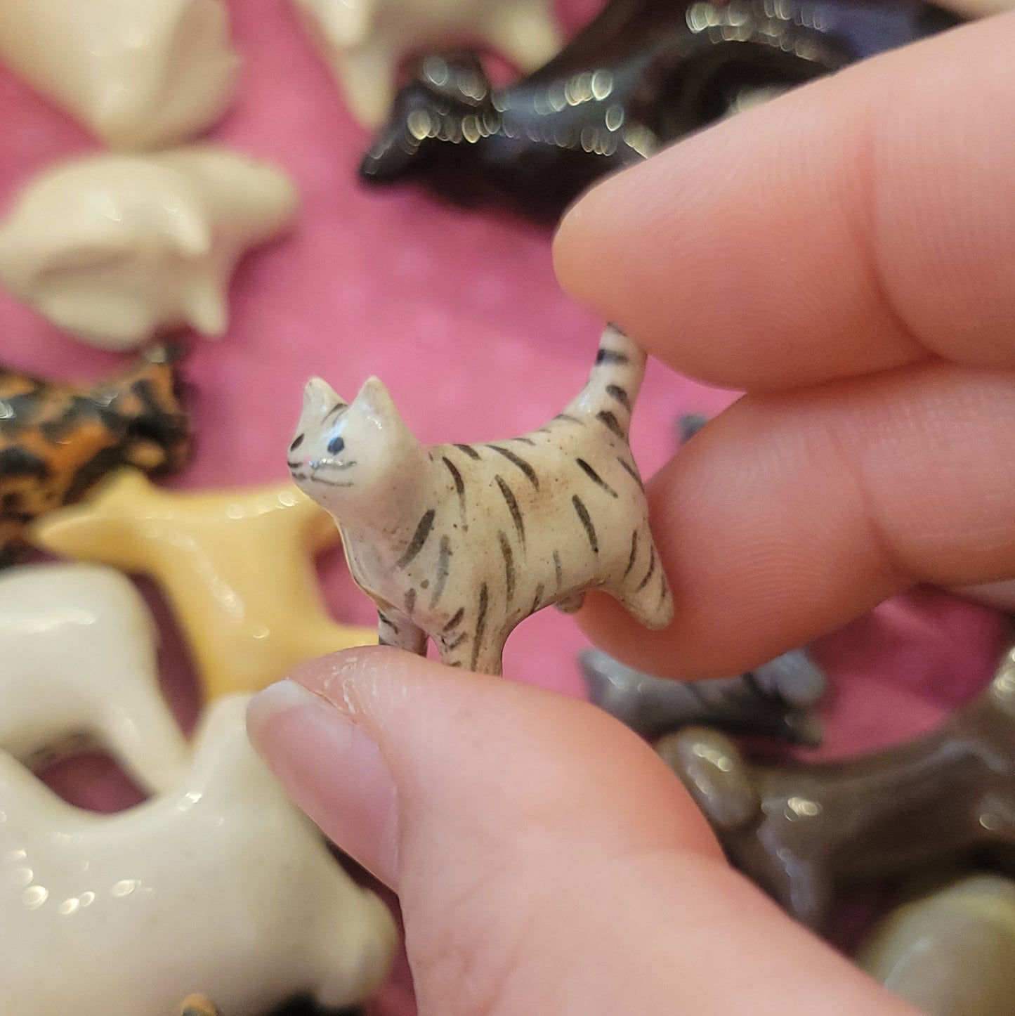 Starting Projects: Tiny Cats