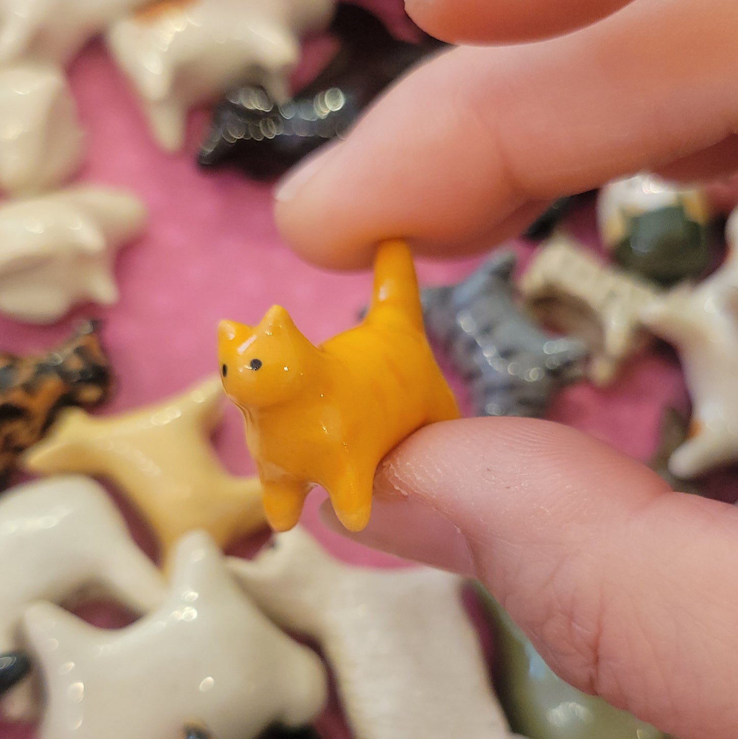 Starting Projects: Tiny Cats