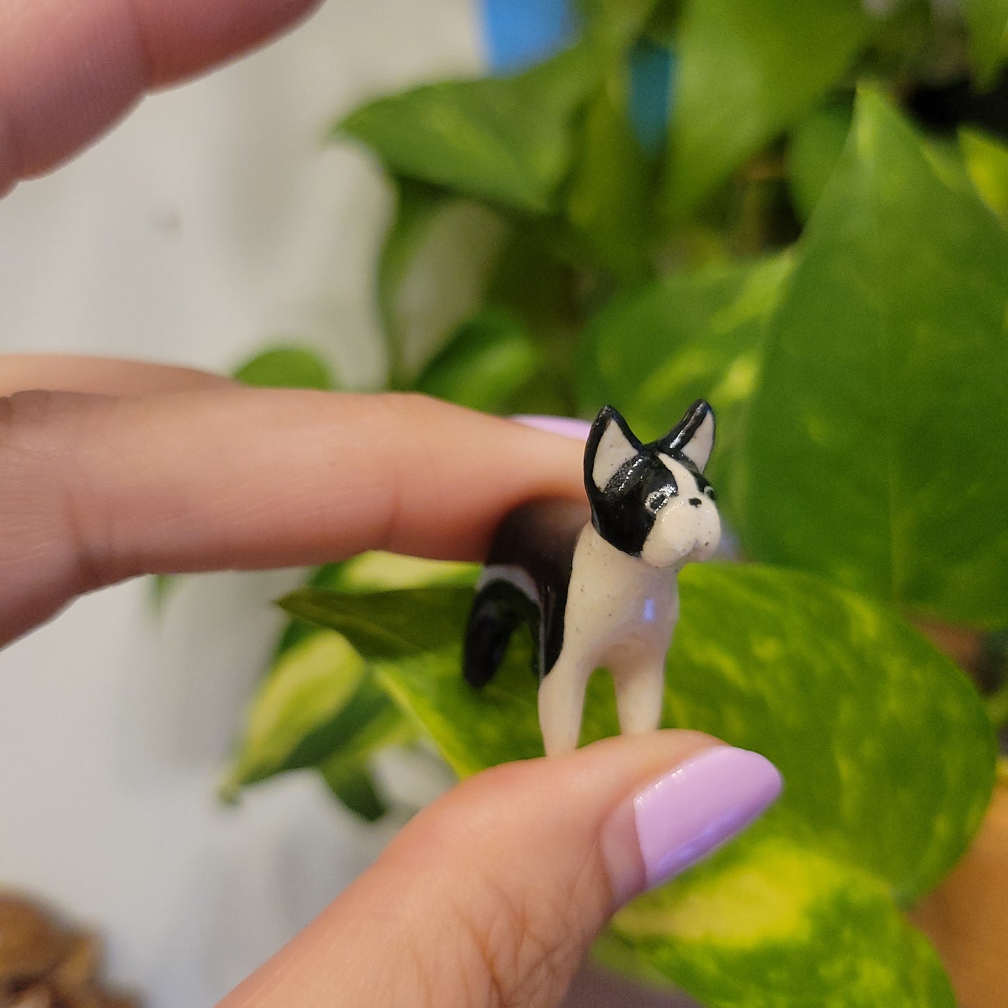Starting Projects: Tiny Ceramic Creatures