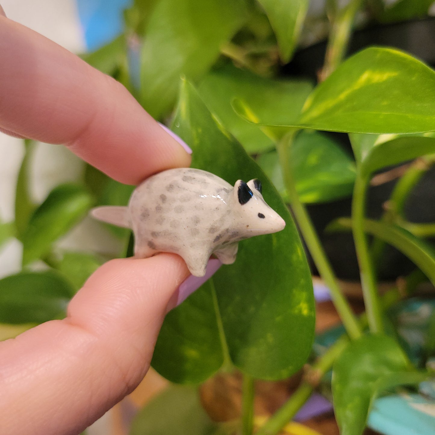 Starting Projects: Tiny Ceramic Creatures
